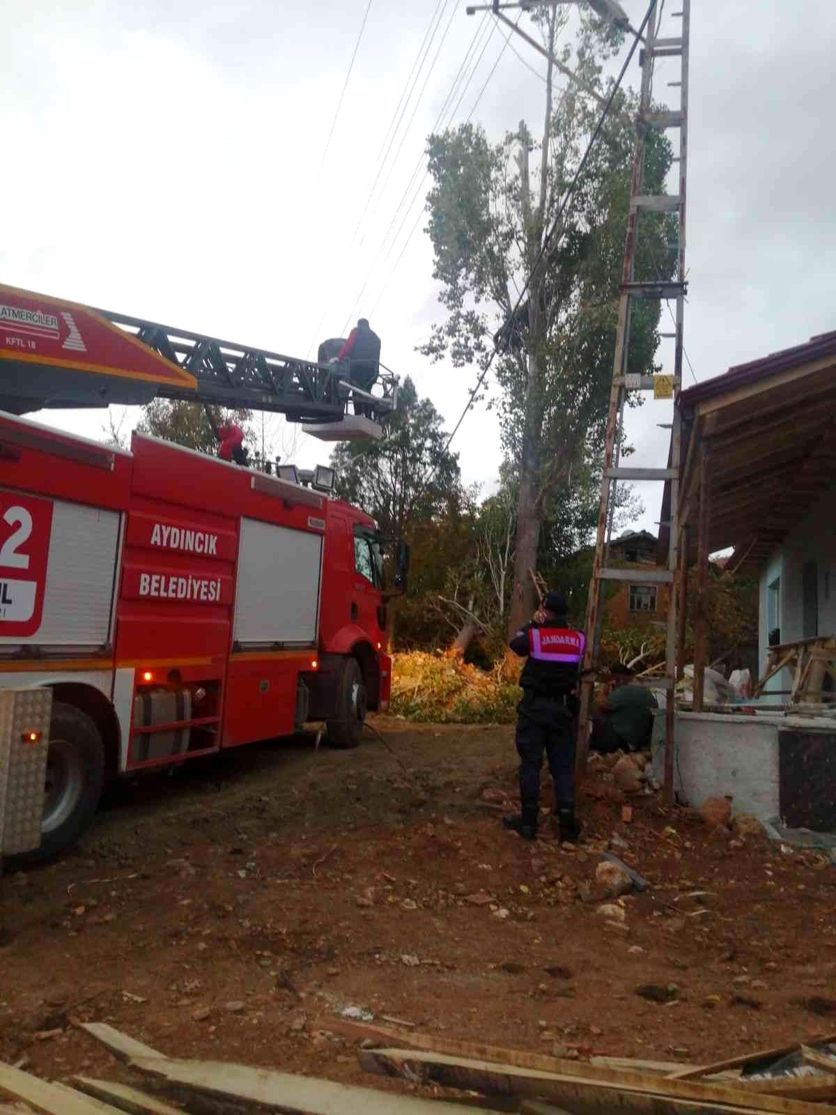 Yozgat\'ta ağaç budarken elektrik akımına kapıldı, kurtarılamadı