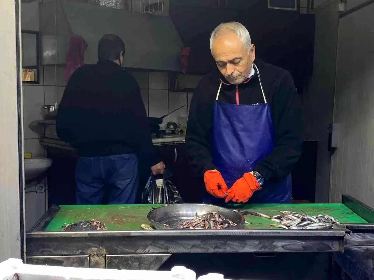 Balık bollaştı fiyatlar tezgahlara yansıdı