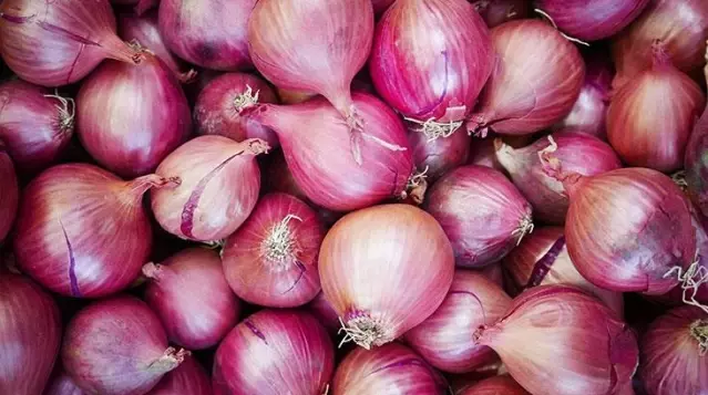 Salmonella virüsü yeniden patlak verdi! Kırmızı soğandan bulaşıyor