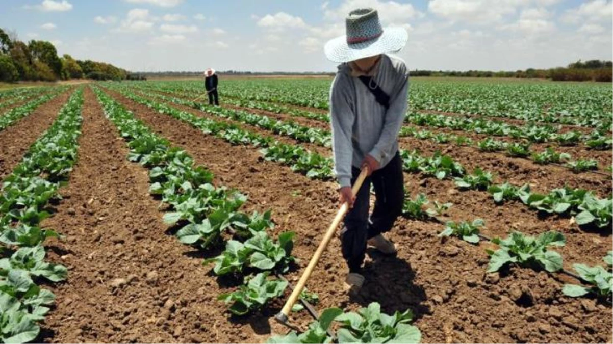 Gübre fiyatları 1 yıl içerisinde yüzde 200\'ün üzerinde zamlandı