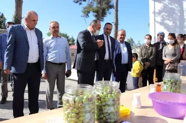 Kadın çiftçilere zeytin salamurası ve turşu yapımı eğitimi verildi