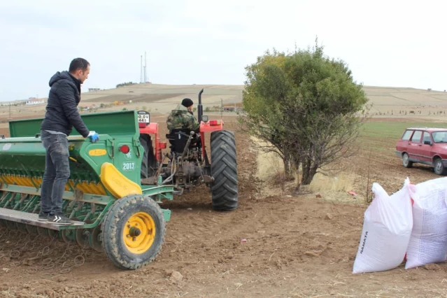 Kırşehir'de kuraklığa dayanıklılığının tespiti için 35 çeşit arpa ve buğdayın deneme ekimi yapıldı