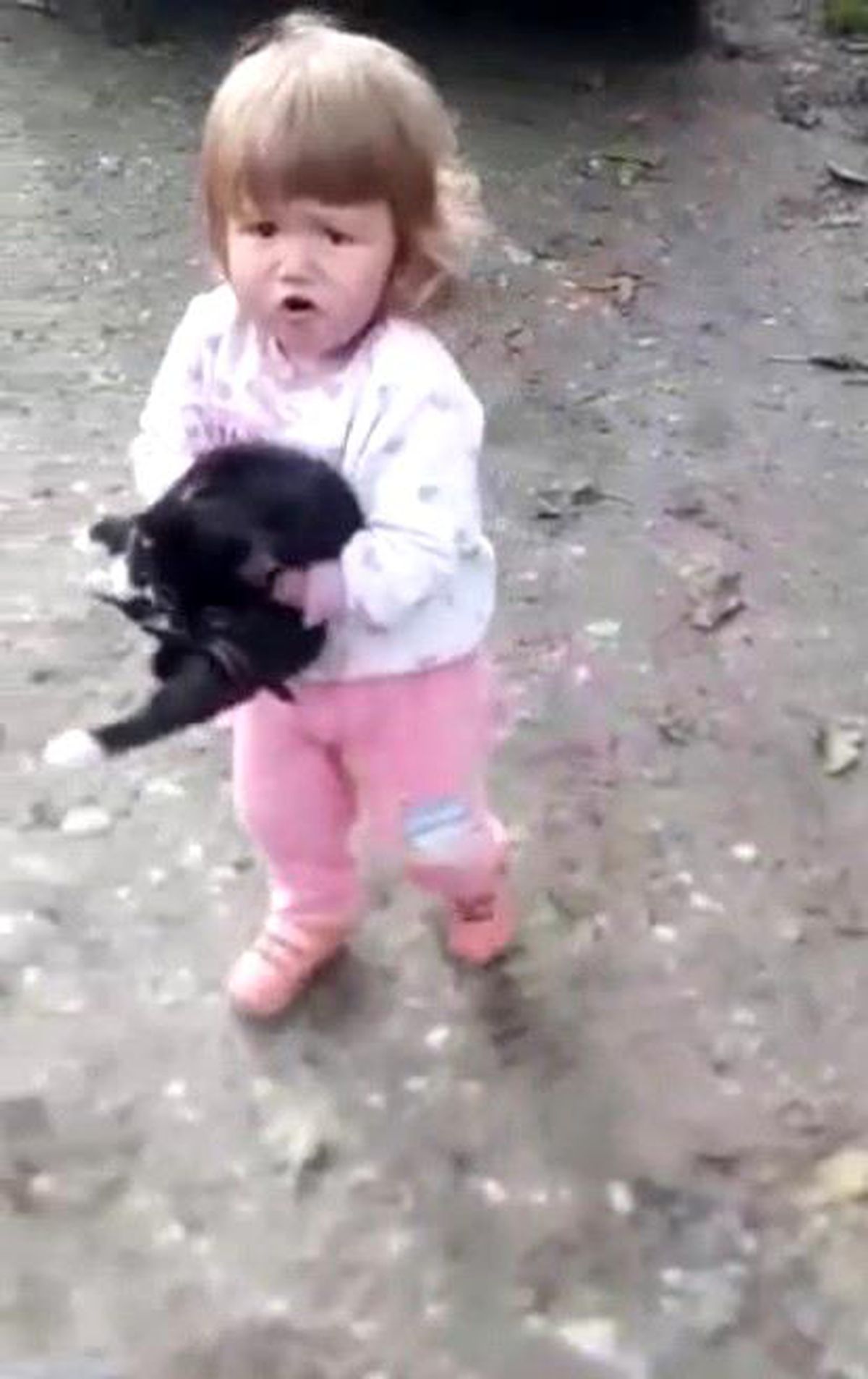 Konuşmayı öğrenmeden hayvan sevgisini öğrendi