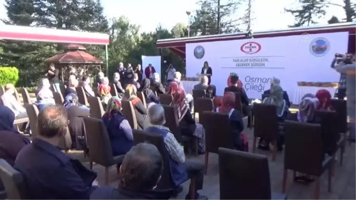 ZONGULDAK - "Osmanlı çileği" coğrafi işaret tescil belgesi aldı