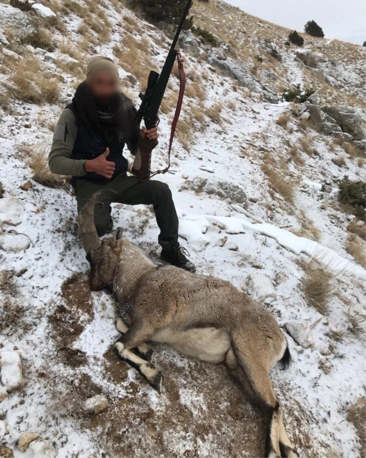 Erzincan\'da iki yaban keçisi avlayan kişiye 57 bin 129 lira ceza uygulandı