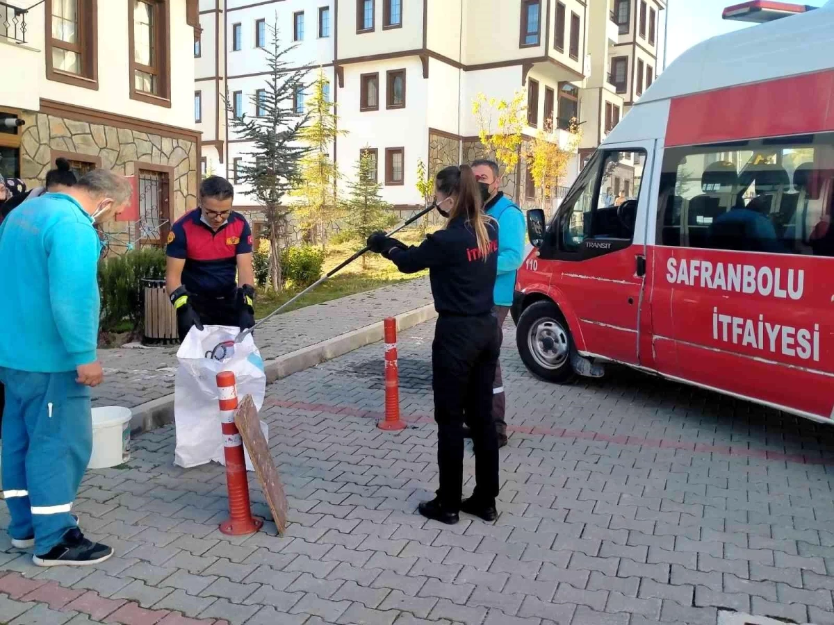 Son dakika haber: Eve giren yılanı kadın itfaiye eri çıkarttı