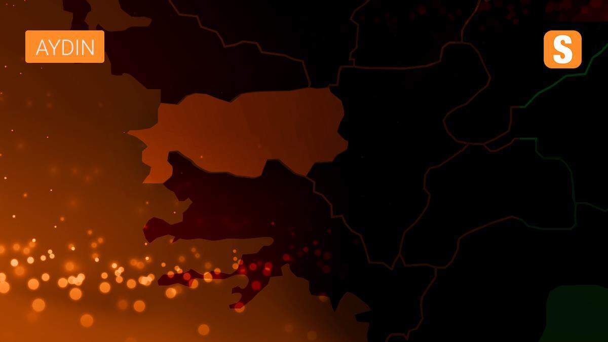 Şiddetli yağışın zarar verdiği pamuklar yerde kaldı