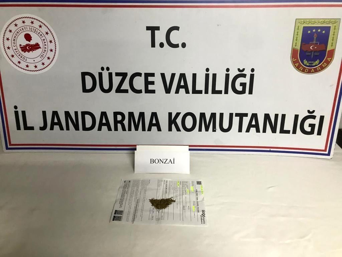 Hassas burunlu köpekler uyuşturucuya geçit vermiyor