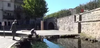 Havanın soğumasıyla Anzele suyunda çocukların yerini balıklar aldı