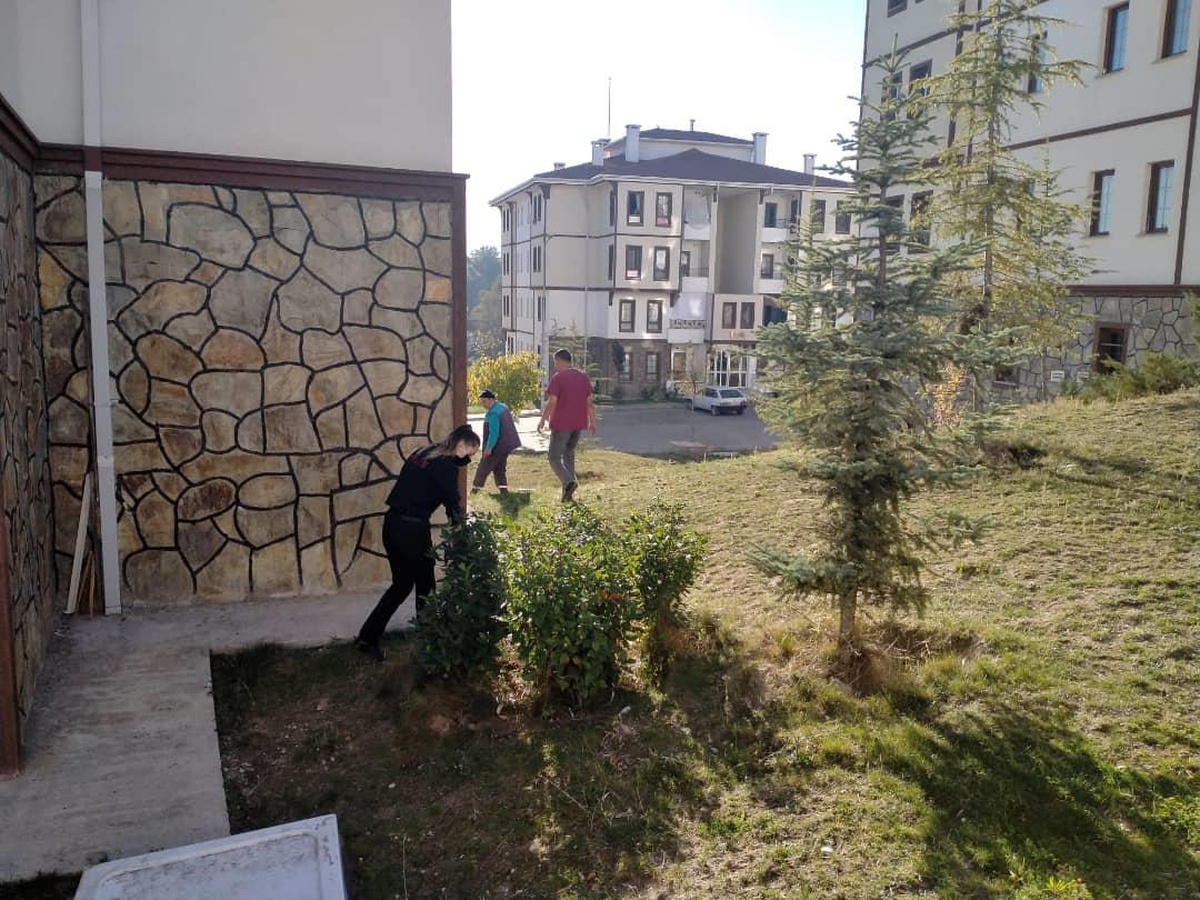 Karabük\'te bir apartmanın bahçesine giren yılan itfaiye ekiplerince çıkarıldı