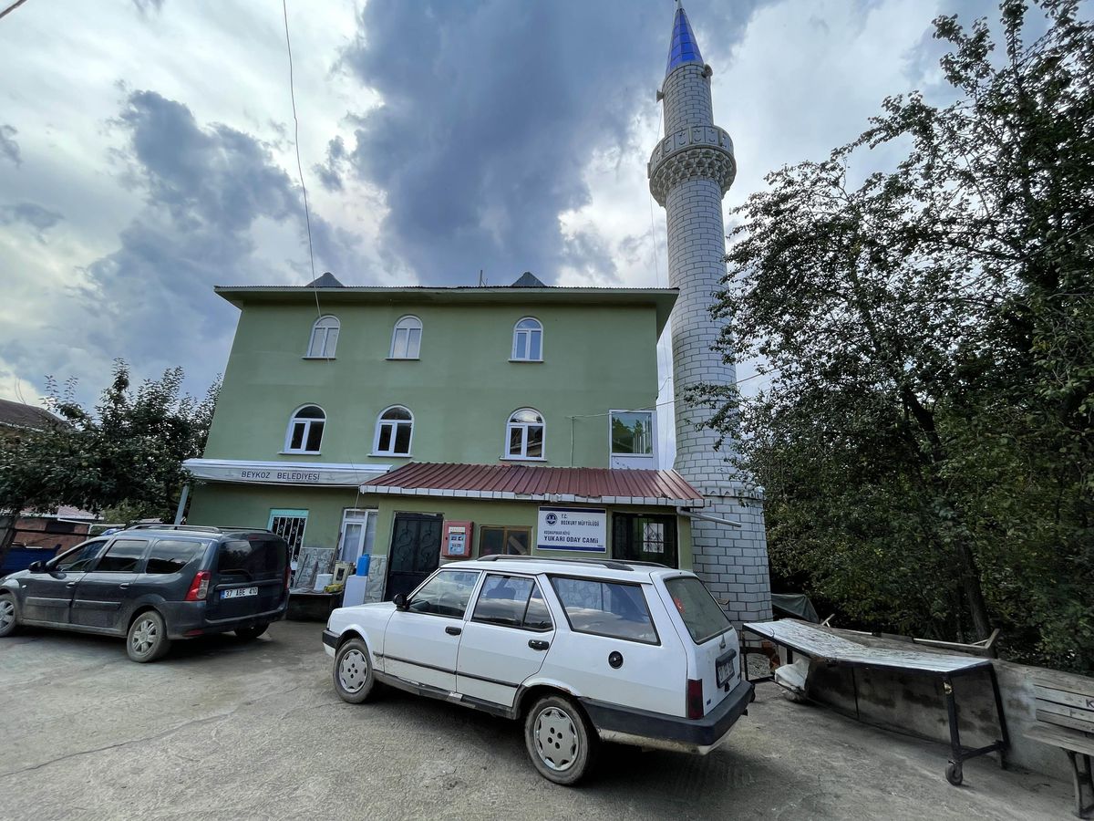 Kastamonu\'da mantar zehirlenmeleri artınca jandarma harekete geçti