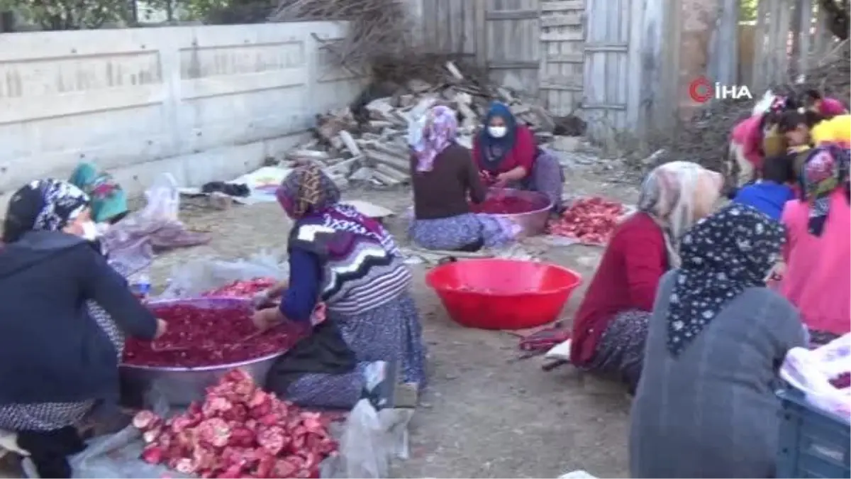 Nar ekşisi Malatyalı kadınların ek gelir kapısı oldu