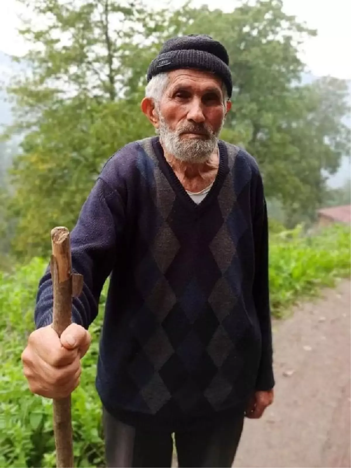 Ormandan ayrılıp, yol çalışmasına bakmaya gitti; kayıp olarak aranıyor