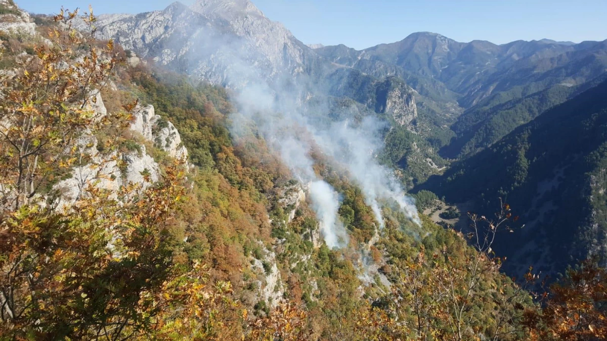 Osmaniye\'de orman yangını