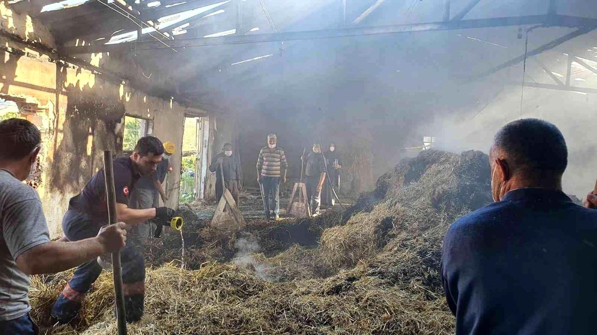 Son dakika haberi: Tavuk çiftliğinde çıkan yangın 200 balya samanı kül etti