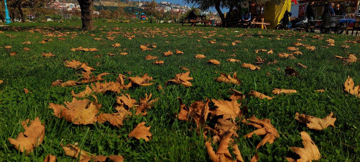 Tekirdağ\'da Sonbahar güzelliği: Sahil alanda renk cümbüşü yaşanıyor