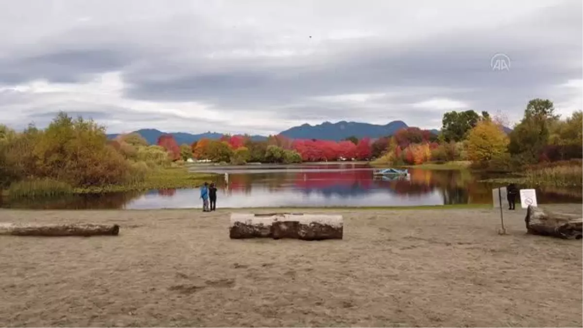 VANCOUVER - Kanada\'da sonbaharın renkleri drone ile görüntülendi