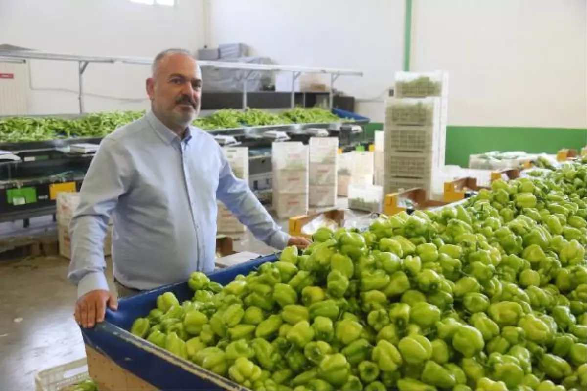 Batı Akdeniz ihracatı ilk kez 2 milyar doları aştı