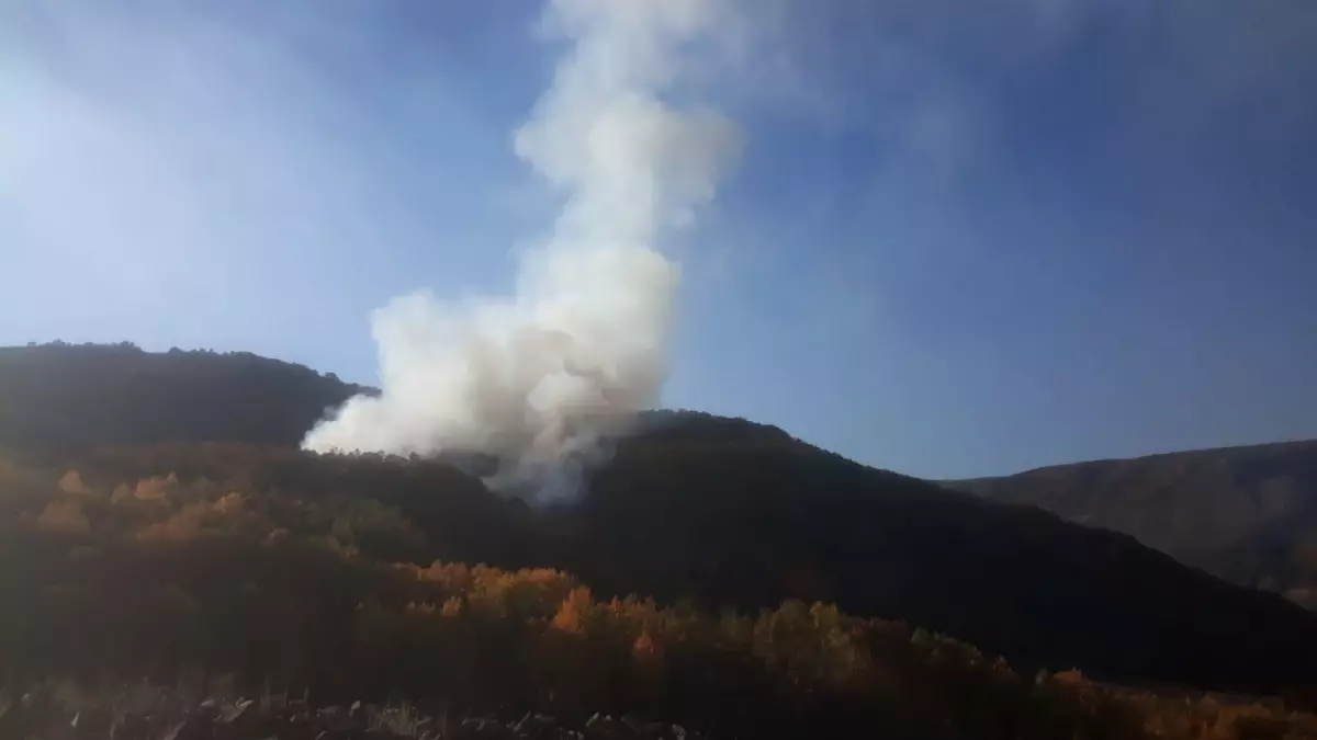 Son dakika haberleri... Bingöl\'de çıkan orman yangını söndürüldü