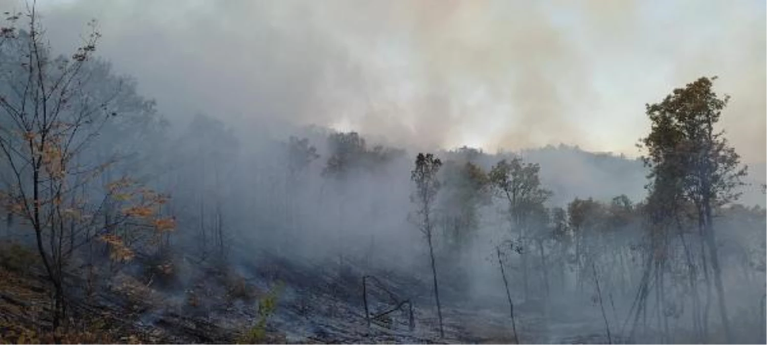 Bingöl\'de çıkan orman yangını söndürüldü