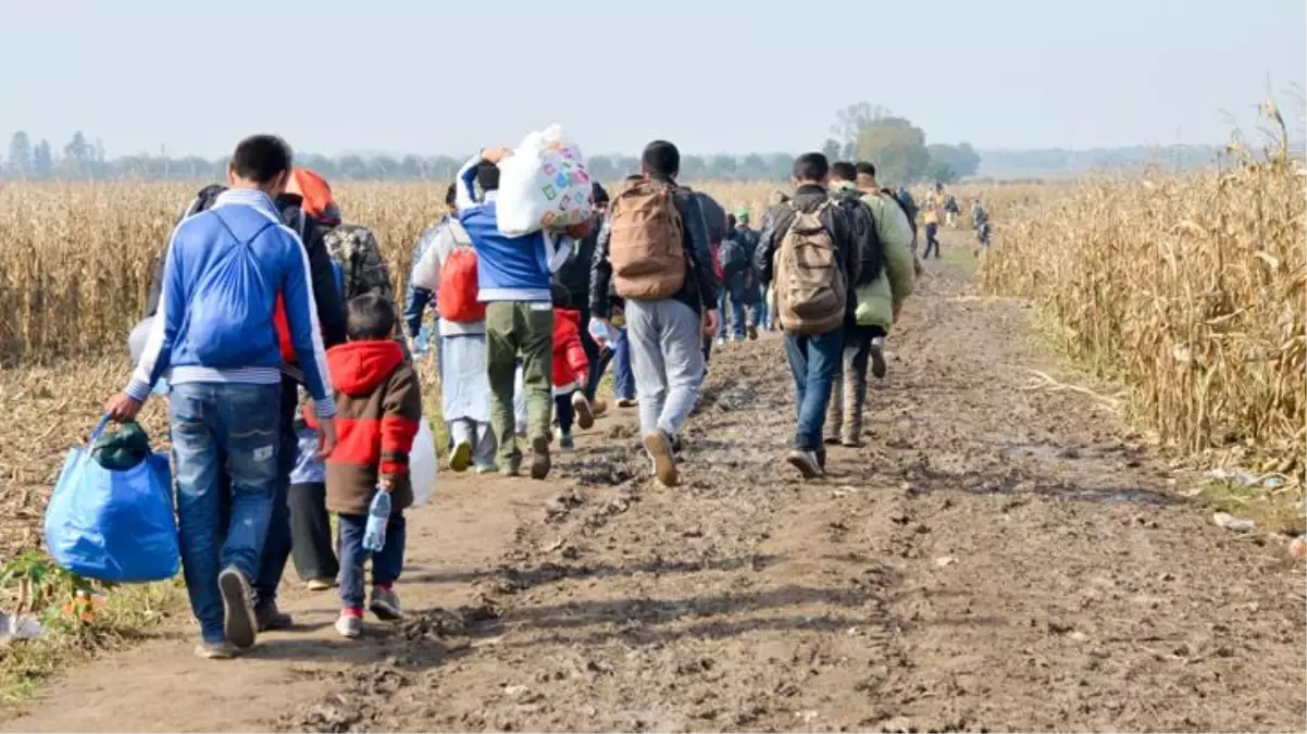 Belarus, göçmenleri turist olarak ülkeye alıp, AB\'ye yasa dışı geçişini sağlıyorlar