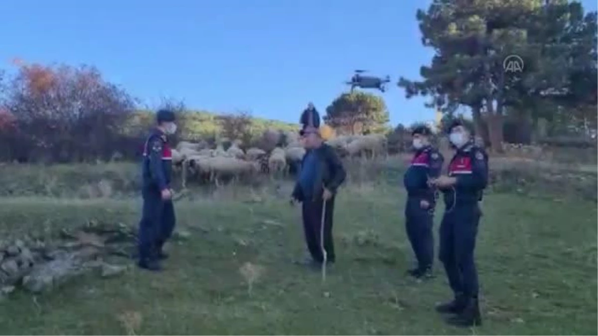 KASTAMONU - Jandarma kaybolan hayvanları drone yardımıyla buldu