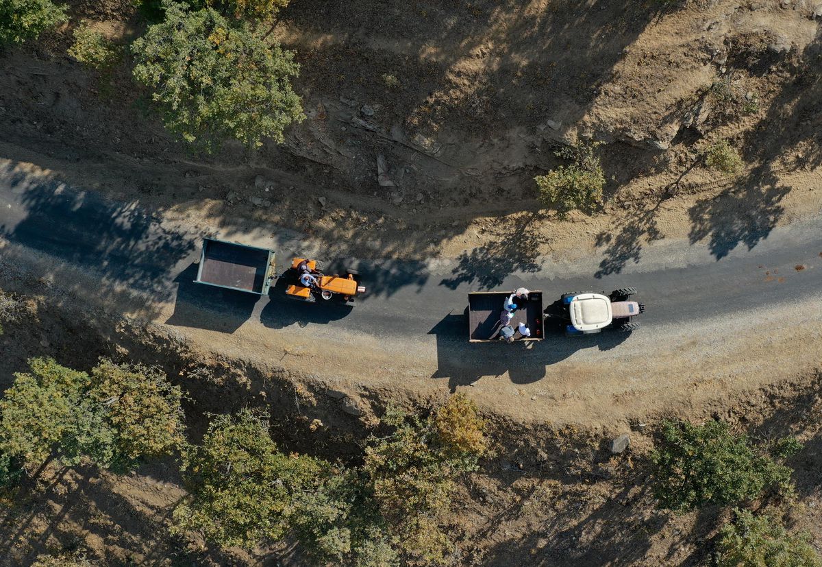 Son dakika haberi: Mangal kömürü için ateş başında gece gündüz mesai yapıyorlar (1)