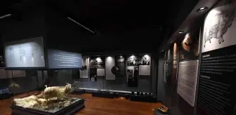 Mansur Yavaş Ankara'nın Kalkınma Reçetesini Beypazarı'nda açıkladı