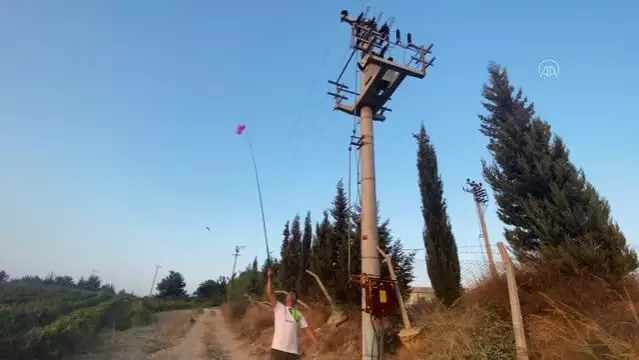 Toroslar EDAŞ'ın Yüksek Gerilim Havai Hat İzolasyonu Projesi ile kuş ölümleri azalıyor