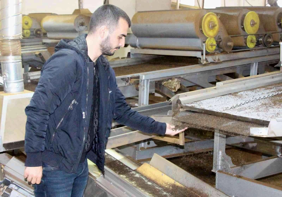 5 bin lira maaş veren 24 yaşındaki patron isyan etti: Gençlerin en büyük problemi iş beğenmeme