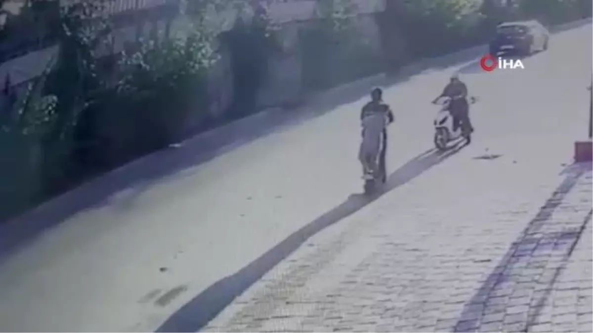 30 metreden göz göre birbirlerine girdiler, kendileri bile inanamadılar...Gülümseten görüntüler kamerada