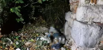 İznik'te tarihi surların yanında ceset bulundu