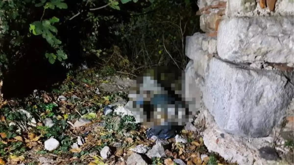 İznik\'te tarihi surların yanında ceset bulundu
