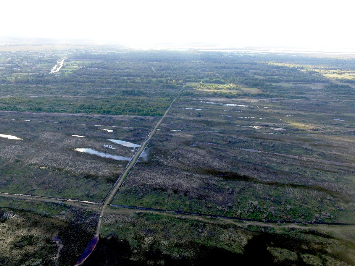 Kızılırmak Deltası\'nda yanan alanlar 1 yılda doğal yapısına kavuştu