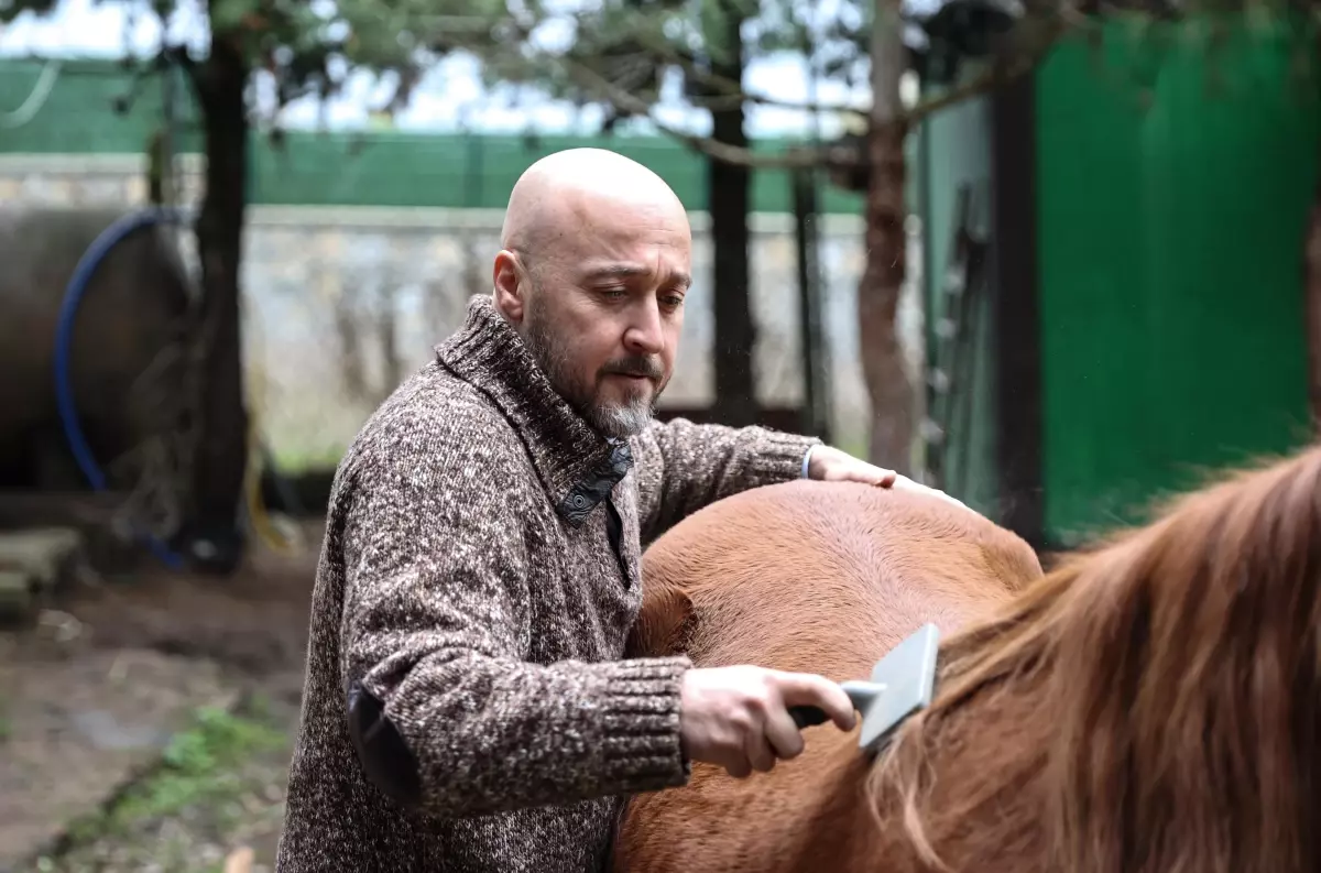 Sokaktan kurtardığı onlarca hayvan rahat yaşasın diye şehirden köye taşındı