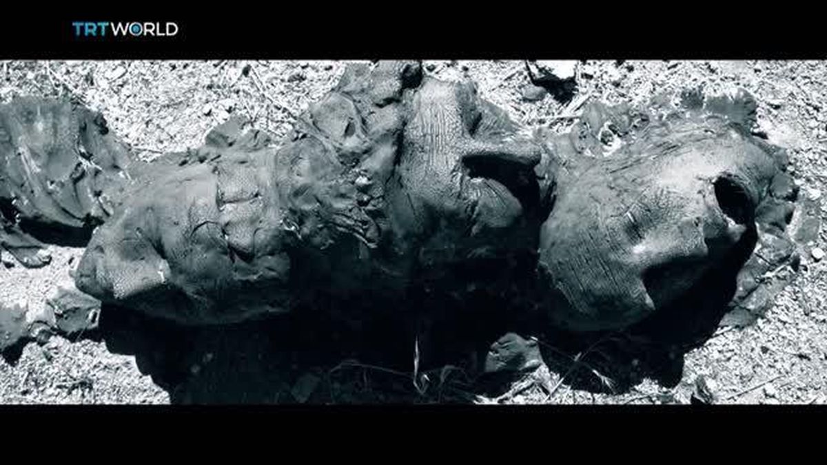 TRT World, Kıbrıslı Türklerin hayatta kalma mücadelesini dünyaya anlatacak