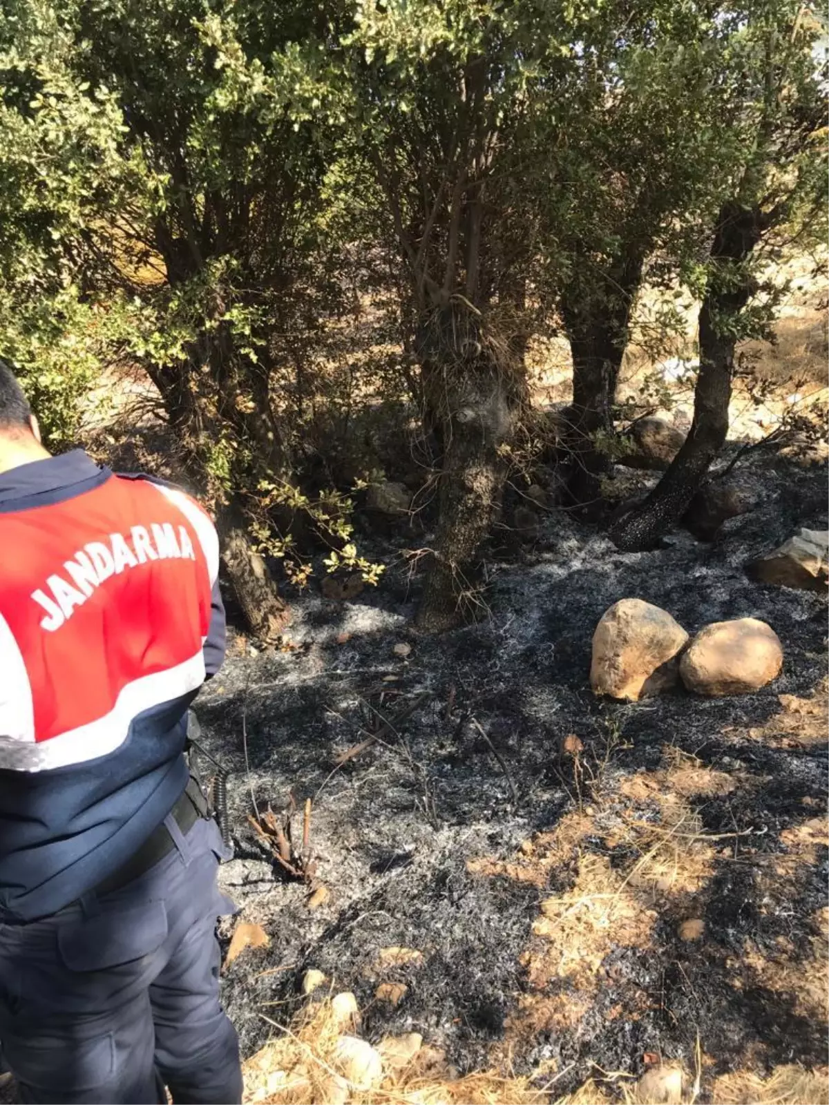 Son dakika haberi! Adıyaman\'da anız yangını sırasında erkek cesedi bulundu