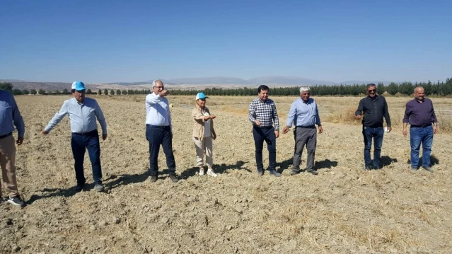 Antalya'da Karakılçık buğdayı üretilmeye başlandı