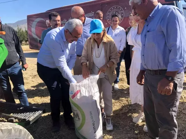 Antalya'da Karakılçık buğdayı üretilmeye başlandı