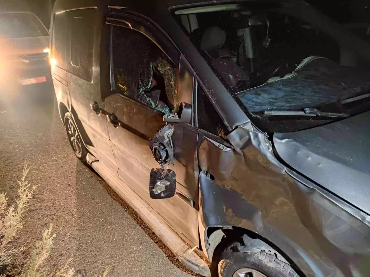 Batman\'da gece karanlığında ana yola çıkan inek faciaya neden oluyordu