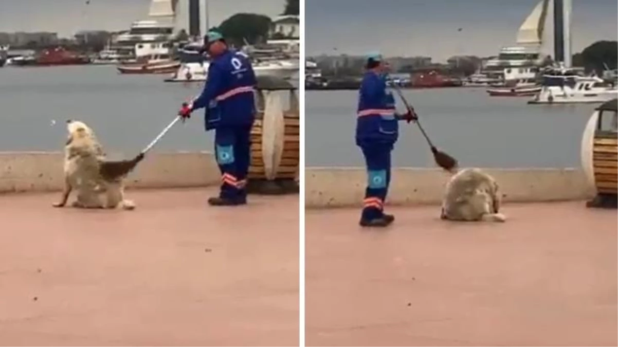 Belediye Başkanı "Günaydın hayat" notuyla köpeğin sevimli hallerini paylaştı