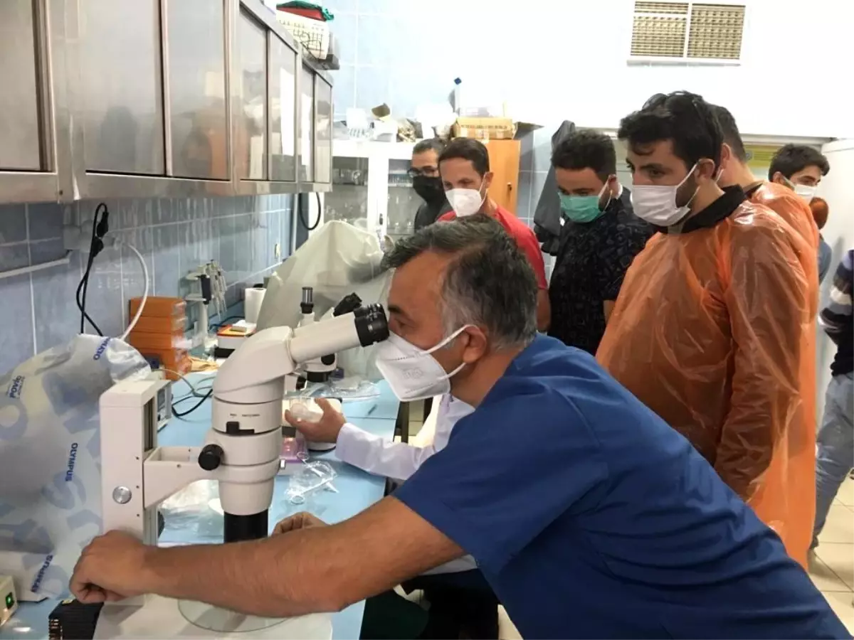 Son dakika haberi: Kars\'ta Kafkas Üniversitesi\'nde ilk kez Embriyo Transfer Kursu düzenlendi