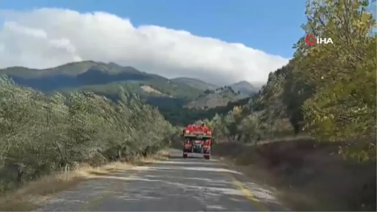 Son dakika haberleri... Kazdağları\'ndaki orman yangını kontrol altına alındı