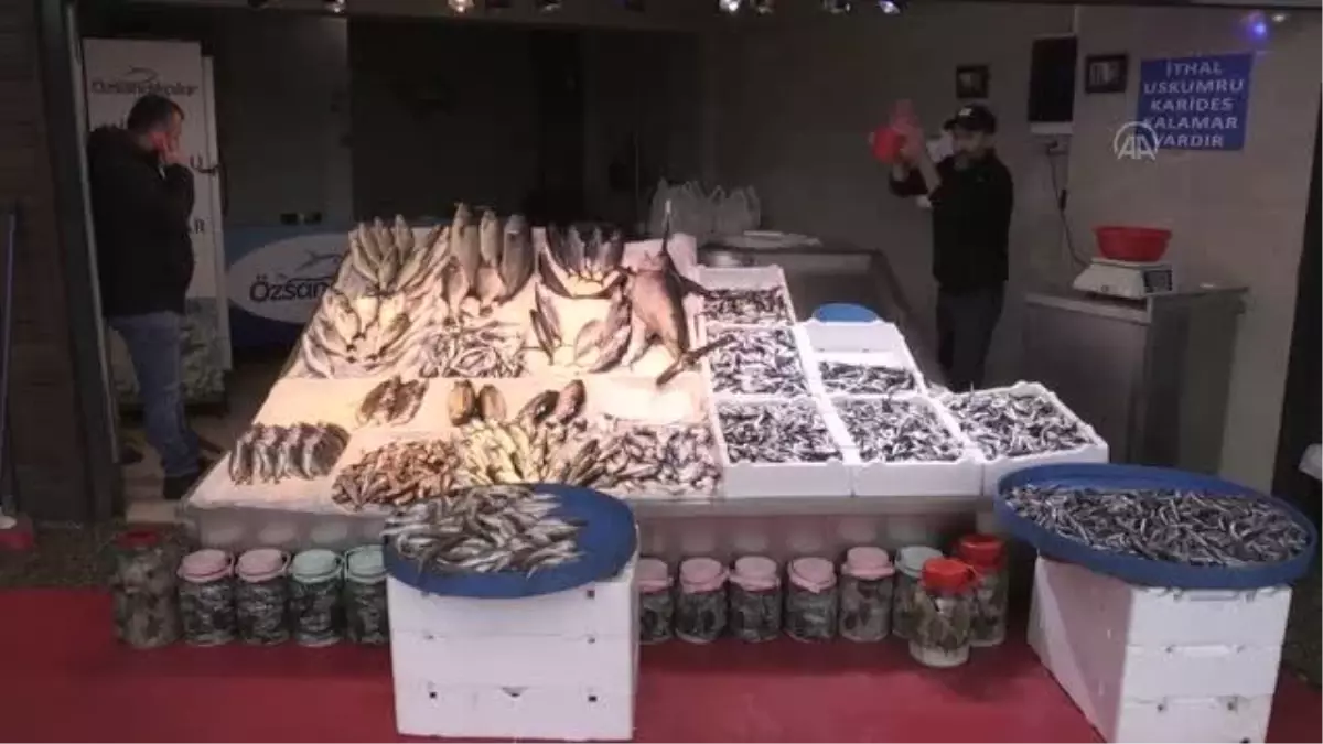 Olumsuz hava koşulları hamsi ve istavrit bolluğunu etkilemedi