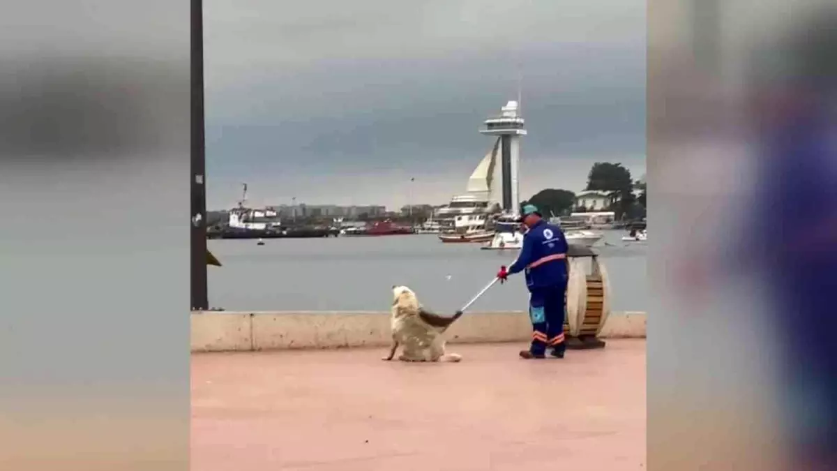 Tuzla\'da temizlik personeli ve köpeğin yürekleri ısıtan görüntüsü