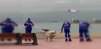 Tuzla'da temizlik personeli ve köpeğin yürekleri ısıtan görüntüsü