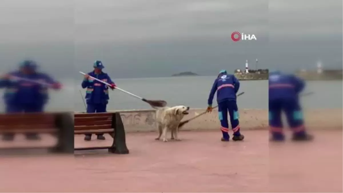 Tuzla\'da temizlik personeli ve köpeğin yürekleri ısıtan görüntüsü