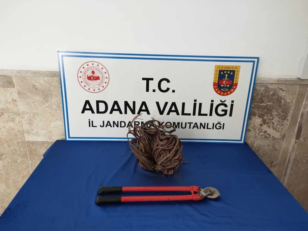 Adana\'da kablo hırsızlığı iddiasıyla bir şüpheli yakalandı