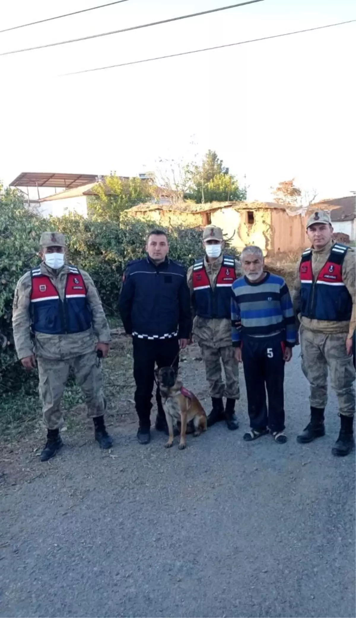 Alzheimer hastası yaşlı şahsı iz takip köpeği buldu