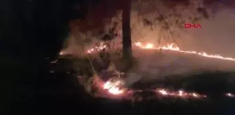 Antalya'da 3 ayrı noktada aynı zamanda orman yangını çıktı (2)- Yeniden